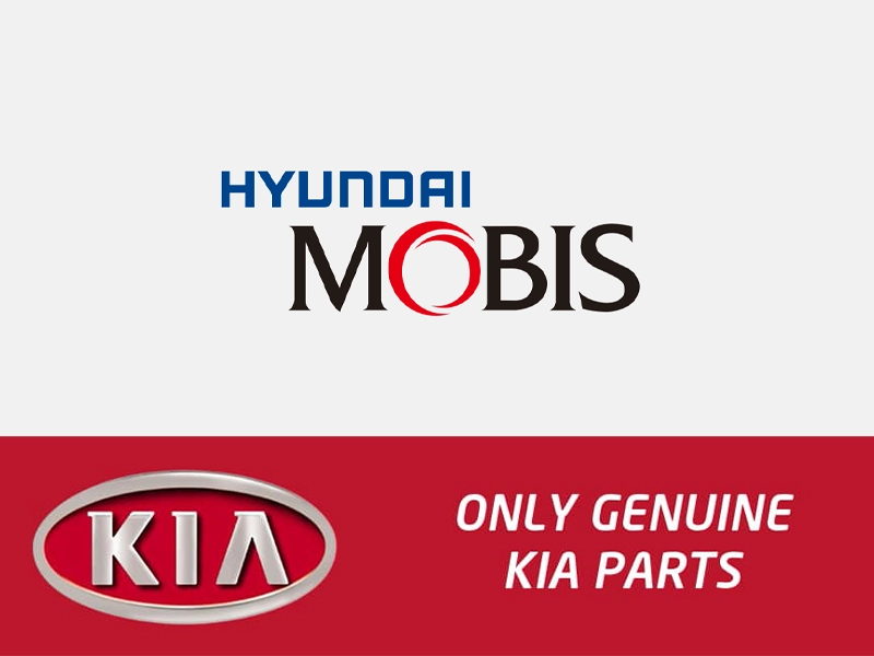 The-difference-between-the-Mobis-Genius-Parts-brands